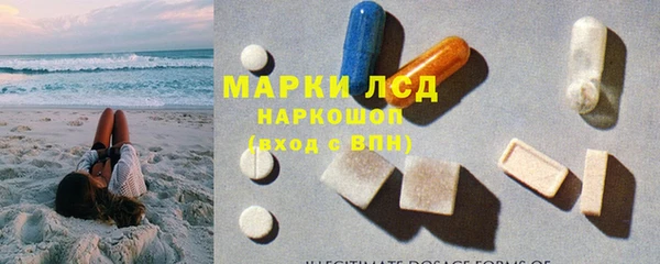 шишки Володарск