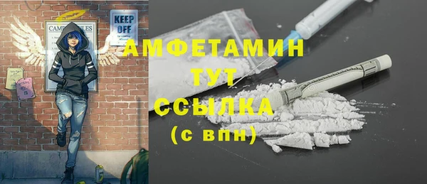 шишки Володарск