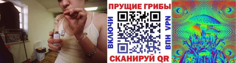 купить наркотик  МЕГА рабочий сайт  Псилоцибиновые грибы Magic Shrooms  Плёс 
